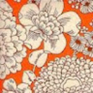 Meet your Posher, Alysa